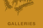 GALLERIES